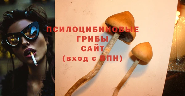 ECSTASY Липки