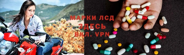 ECSTASY Липки