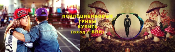 ECSTASY Липки