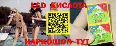 амф Новокубанск