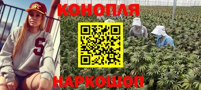 наркотики Новозыбков