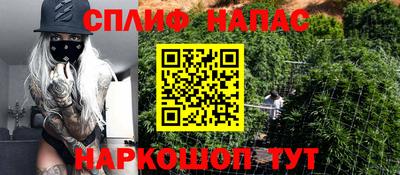ECSTASY Новодвинск