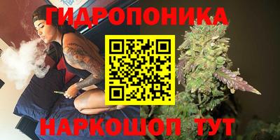 наркотики Новозыбков