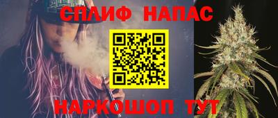 амф Новокубанск