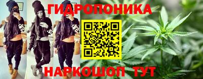 ECSTASY Новодвинск