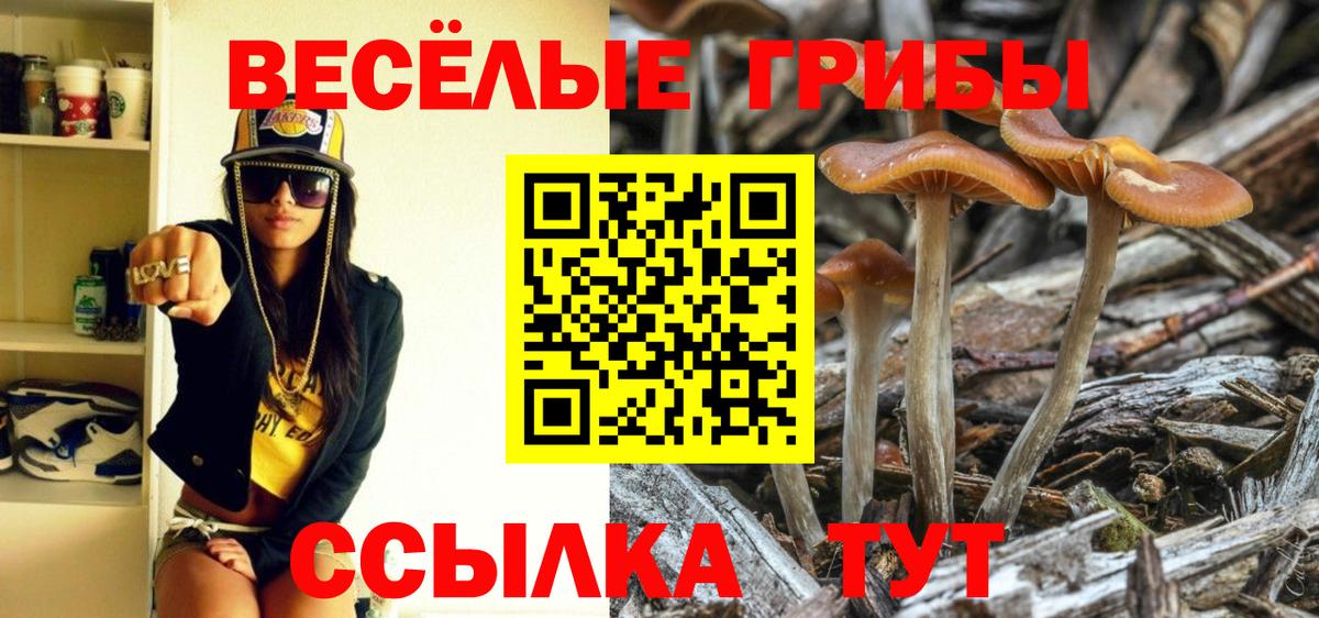 Галлюциногенные грибы Psilocybine cubensis Южноуральск